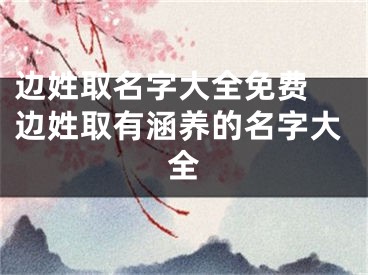 边姓取名字大全免费 边姓取有涵养的名字大全