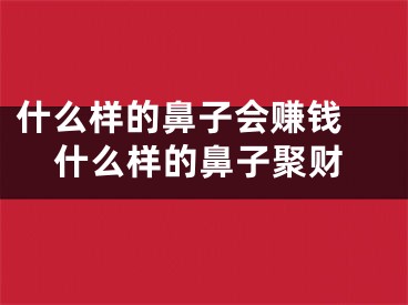 什么样的鼻子会赚钱 什么样的鼻子聚财