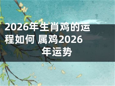 2026年生肖鸡的运程如何 属鸡2026年运势