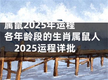属鼠2025年运程 各年龄段的生肖属鼠人2025运程详批