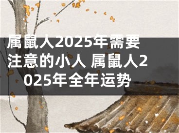 属鼠人2025年需要注意的小人 属鼠人2025年全年运势
