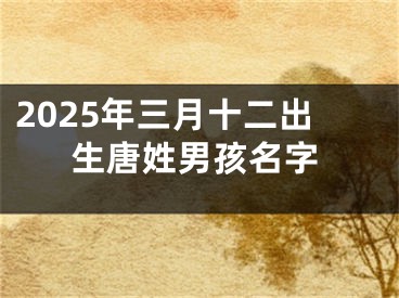 2025年三月十二出生唐姓男孩名字