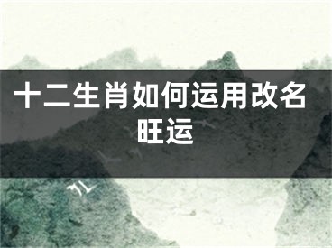 十二生肖如何运用改名旺运