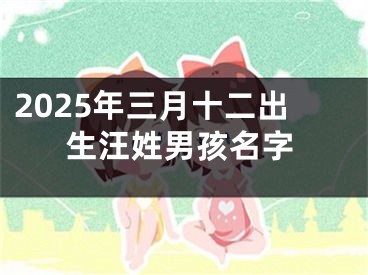 2025年三月十二出生汪姓男孩名字