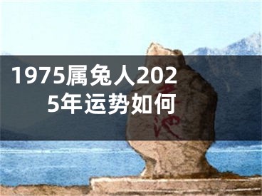1975属兔人2025年运势如何 