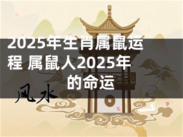 2025年生肖属鼠运程 属鼠人2025年的命运