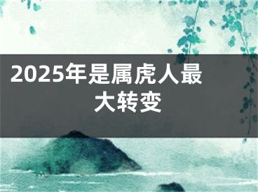 2025年是属虎人最大转变