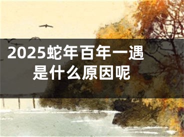 2025蛇年百年一遇是什么原因呢 