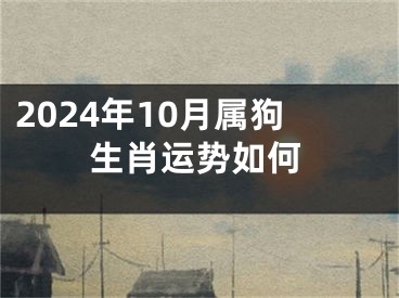 2024年10月属狗生肖运势如何