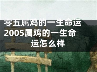 零五属鸡的一生命运 2005属鸡的一生命运怎么样
