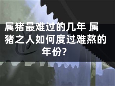 属猪最难过的几年 属猪之人如何度过难熬的年份?