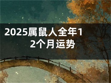 2025属鼠人全年12个月运势