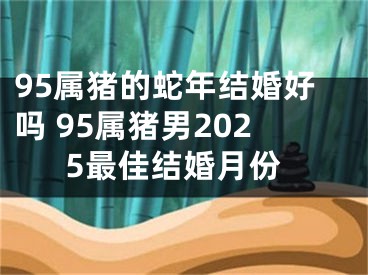 95属猪的蛇年结婚好吗 95属猪男2025最佳结婚月份