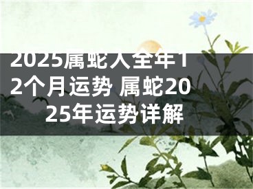 2025属蛇人全年12个月运势 属蛇2025年运势详解