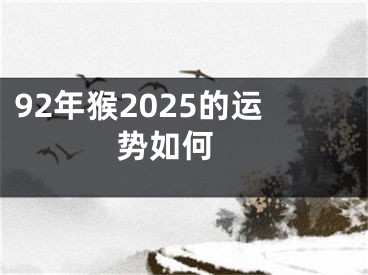 92年猴2025的运势如何 