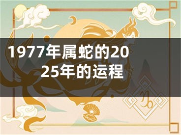 1977年属蛇的2025年的运程