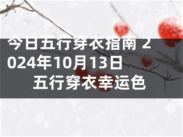 今日五行穿衣指南 2024年10月13日五行穿衣幸运色