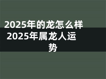 2025年的龙怎么样 2025年属龙人运势
