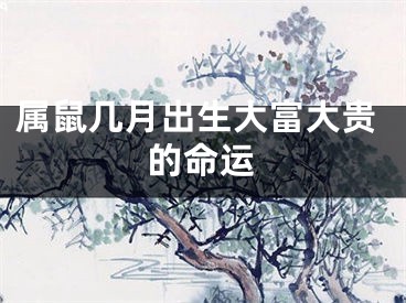属鼠几月出生大富大贵的命运