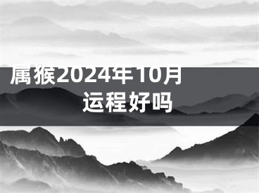 属猴2024年10月运程好吗