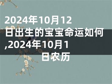 2024年10月12日出生的宝宝命运如何,2024年10月1日农历
