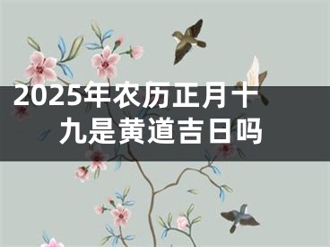 2025年农历正月十九是黄道吉日吗