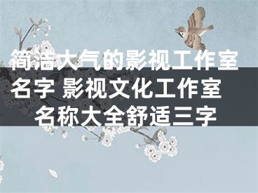 简洁大气的影视工作室名字 影视文化工作室名称大全舒适三字