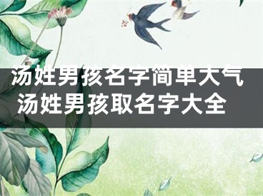 汤姓男孩名字简单大气 汤姓男孩取名字大全