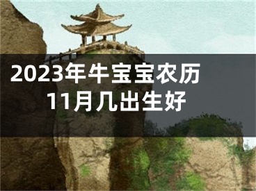 2023年牛宝宝农历11月几出生好