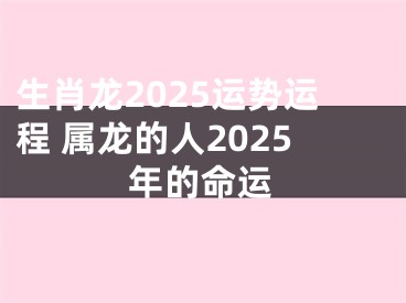 生肖龙2025运势运程 属龙的人2025年的命运