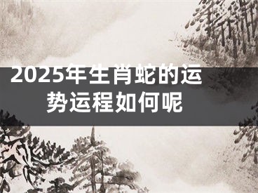 2025年生肖蛇的运势运程如何呢 