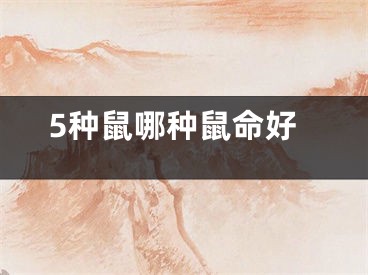 5种鼠哪种鼠命好
