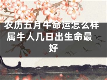 农历五月牛命运怎么样 属牛人几日出生命最好
