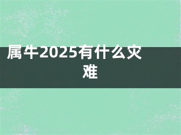 属牛2025有什么灾难