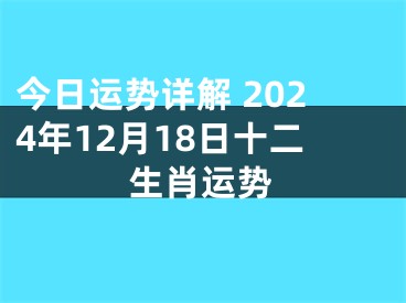 今日运势详解 2024年12月18日十二生肖运势