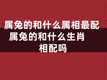 属兔的和什么属相最配  属兔的和什么生肖相配吗