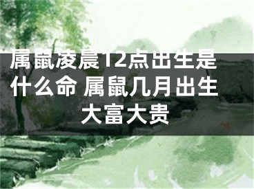 属鼠凌晨12点出生是什么命 属鼠几月出生大富大贵