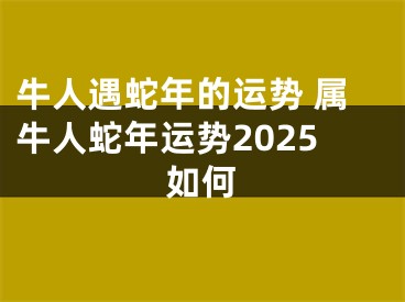 牛人遇蛇年的运势 属牛人蛇年运势2025如何