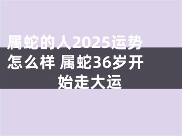 属蛇的人2025运势怎么样 属蛇36岁开始走大运