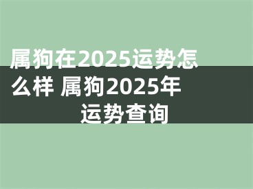 属狗在2025运势怎么样 属狗2025年运势查询