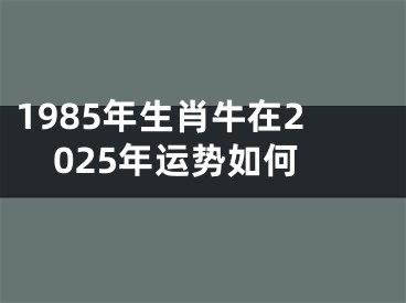 1985年生肖牛在2025年运势如何