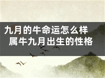 九月的牛命运怎么样 属牛九月出生的性格