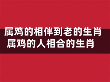 属鸡的相伴到老的生肖 属鸡的人相合的生肖