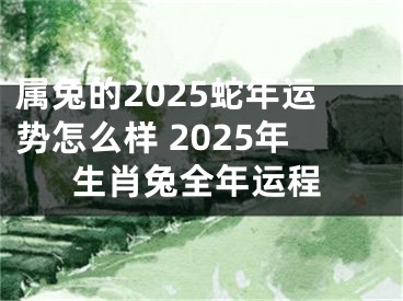 属兔的2025蛇年运势怎么样 2025年生肖兔全年运程