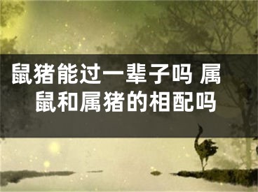 鼠猪能过一辈子吗 属鼠和属猪的相配吗