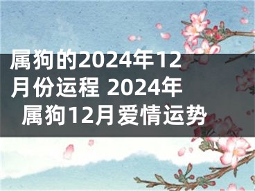属狗的2024年12月份运程 2024年属狗12月爱情运势