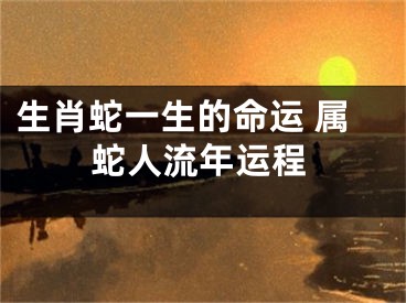 生肖蛇一生的命运 属蛇人流年运程