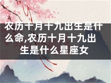 农历十月十九出生是什么命,农历十月十九出生是什么星座女