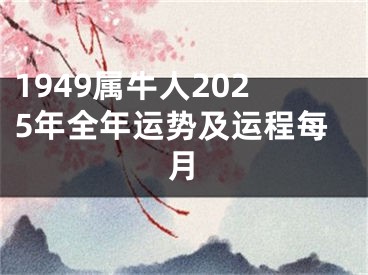 1949属牛人2025年全年运势及运程每月