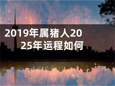 2019年属猪人2025年运程如何